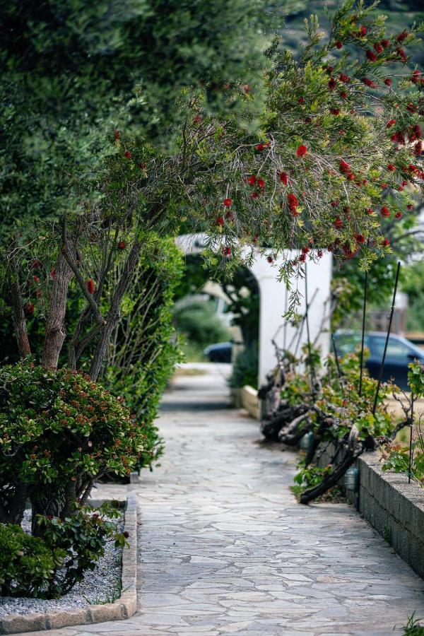 Ariadne Apartament *